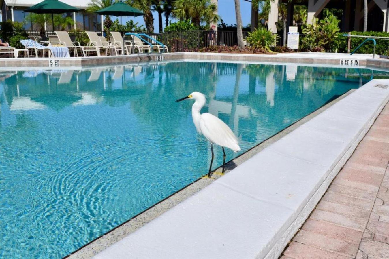 Caribbean Beach Club Fort Myers Beach Exteriér fotografie